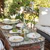 Dinner Plate, Cup & Saucer, Bread & Butter, Salad Plate