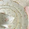 Dinner Plate, Cup & Saucer, Bread & Butter, Salad Plate