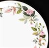 Dinner Plate, Cup & Saucer, Bread & Butter, Salad Plate