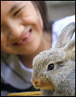 Easter-110pixels-image
