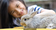 TV-Easter-196