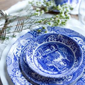 Picture of BLUE ITALIAN (CHINA) by Spode