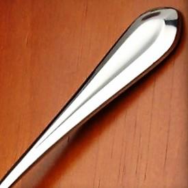 celeste_frosted_stainless_stainless_flatware_by_gorham.jpeg
