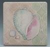 -TRANQUIL SHELLS COASTERS
