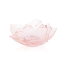 -,CAMELIA IN ROSE COUPE. 4.5" WIDE                                                                                                          