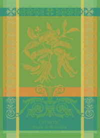 18576530