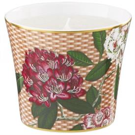 -CANDLE POT, RHODODENDRON                                                                                                                   