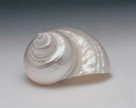 -LARGE PEARLIZED BURGESS TURBO SHELL. 4"                                                                                                    