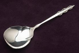 BERRY SERVING SPOON                                                                                                                         