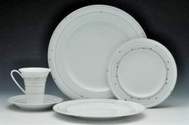 _,NEW 5PC PLACE SETTING                                                                                                                     