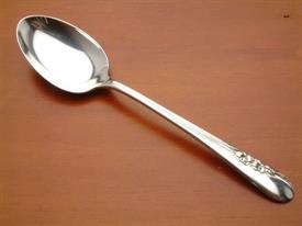 TABLE SERVING SPOON                                                                                                                         