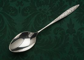 TABLE SERVING SPOON                                                                                                                         